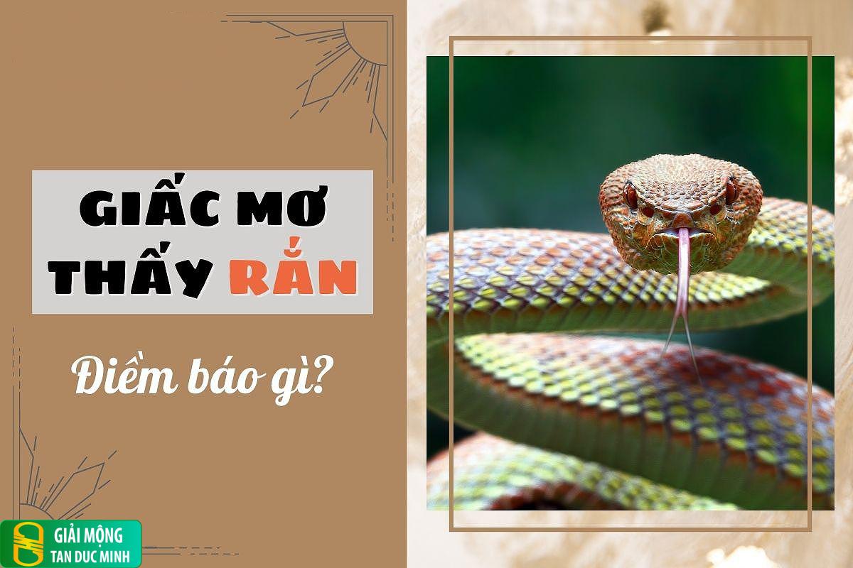 Điềm báo khi nằm mơ thấy rắn mất đầu