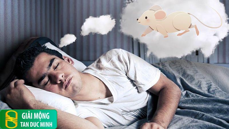 Mơ thấy chuột cảm giác hỗn loạn bất an