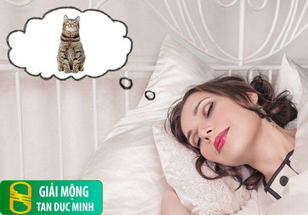 Mơ thấy mèo bắt chuột