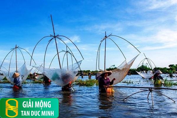 Mơ thấy người thân bắt cá