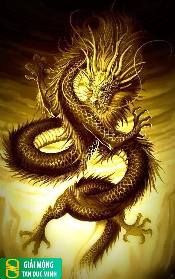 Mơ thấy rồng vàng đang chiến đấu