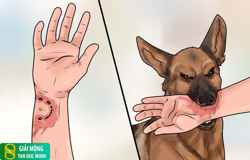Nằm mơ thấy bị chó cắn chảy máu: giải mã điềm báo và ý nghĩa