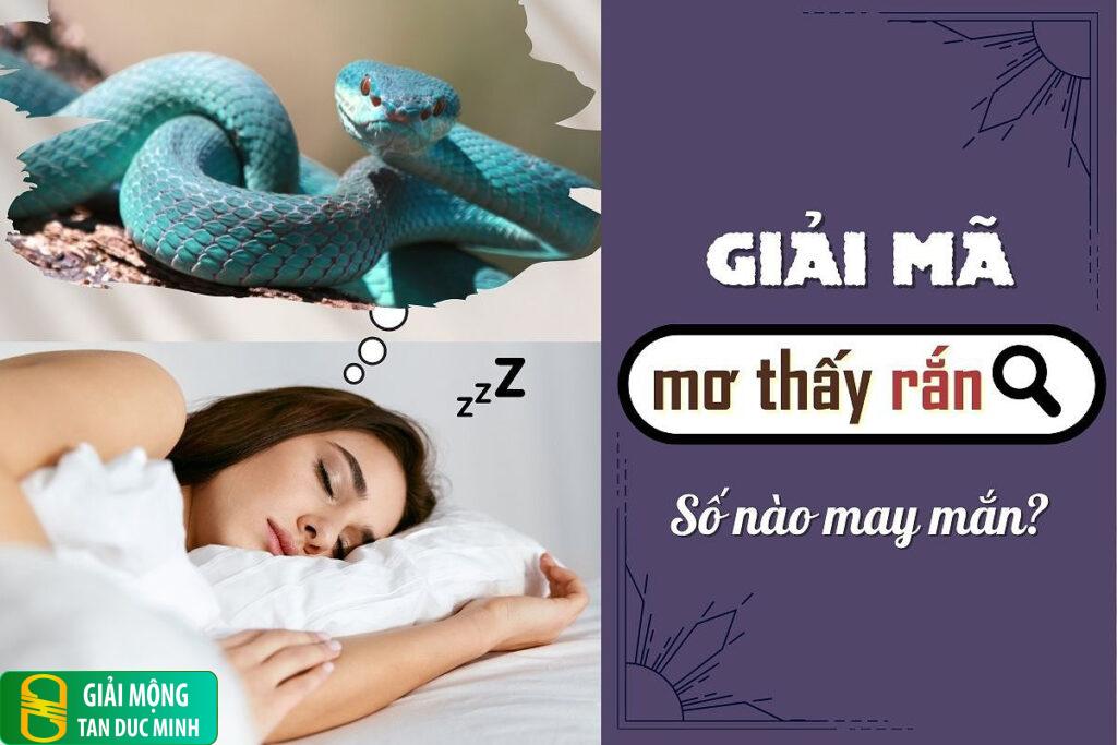 Nằm mơ thấy bị rắn cắn tay: giải mã điềm báo & cách hóa giải