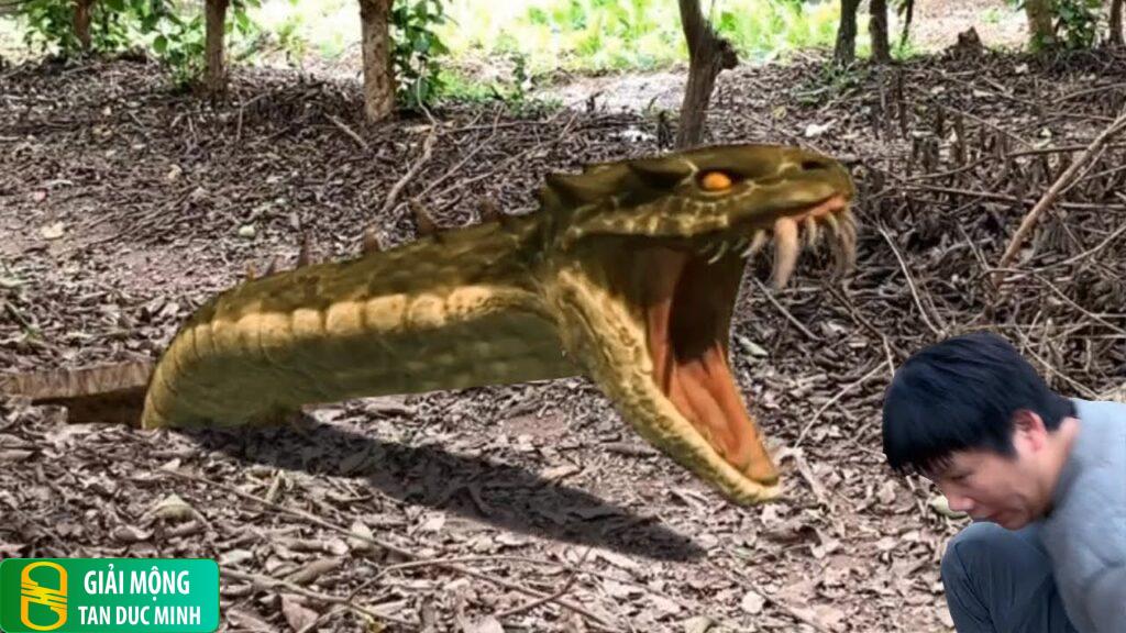 Nằm mơ thấy bị rắn rượt đuổi: giải mã ý nghĩa tâm linh và tâm lý