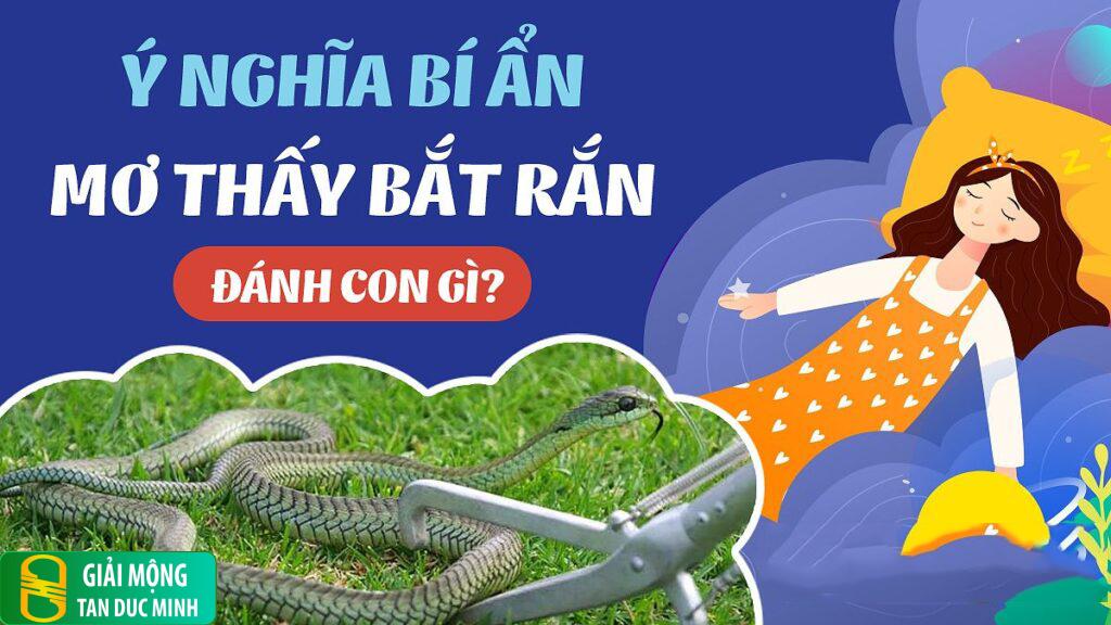 Nằm mơ thấy mình bắt rắn: giải mã điềm báo & con số may mắn