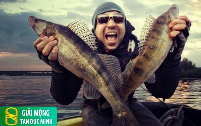 Nằm mơ thấy người khác bắt cá: điềm báo lành hay dữ?