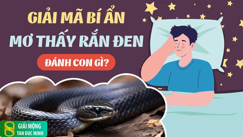 Nằm mơ thấy rắn hổ mang đen: giải mã ý nghĩa và điềm báo