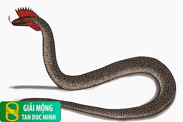 Nằm mơ thấy rắn thần bay