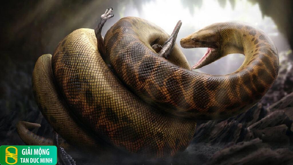 Nằm mơ thấy rắn to lớn