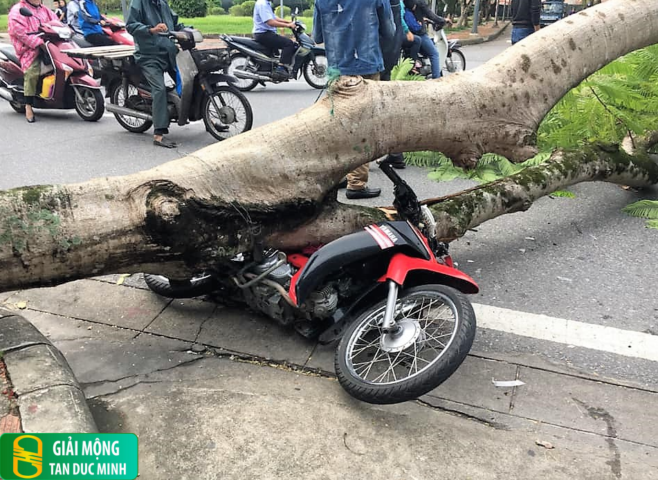 Hình ảnh sửa xe máy biểu trưng cho việc đối mặt và giải quyết vấn đề.