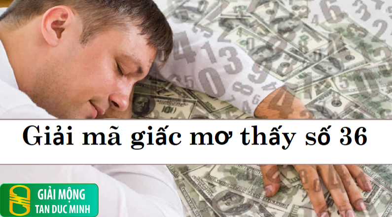 Suy ngẫm giúp kết nối với ý nghĩa sâu sắc của số 36 trong giấc mơ