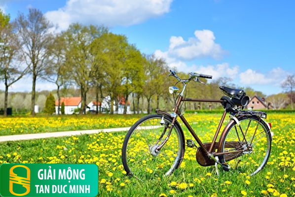 Xe đạp đại diện cho hành trình, nỗ lực và sự cố gắng trong cuộc sống.